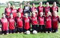 Raheny United Football Club image 6