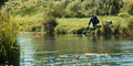 Rathbeggan Lakes image 2