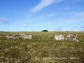 Rathcroghan Tours image 6