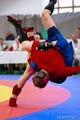 Sambo Academy Ireland (Dublin) image 2