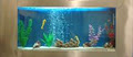 Seahorse Aquariums image 1