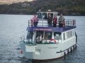 "Star Of Kenmare" Wildlife Cruises image 5