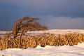 The Burren Perfumery image 3