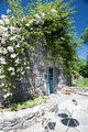 The Burren Perfumery logo