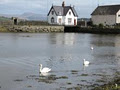 The Westlodge Hotel and Pondlodge Cottages logo