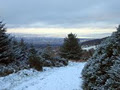 Tibradden Farm Cottages (Self Catering Accommodation) image 6