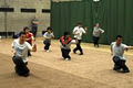 UCD Wushu Class image 1