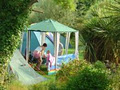 Woodlands Caravan & Camping Park image 4