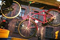 bear bicycles image 2