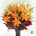 eflowers.ie image 2