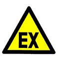 Atex Gordon Ryan image 2