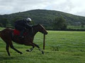 Ballingarry Gallops image 2