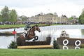 Ballybolger Stud Farm logo