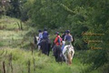 Ballytramon equestrian centre image 3