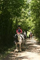 Ballytramon equestrian centre logo