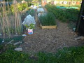 Beech Park Allotments image 4