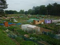 Beech Park Allotments logo