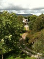 Blueberry Hill Farm Sneem image 4