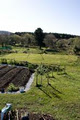 Blueberry Hill Farm Sneem image 6