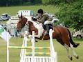 Border Counties Riding Club image 2