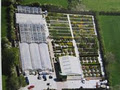 Carndonagh Nursery & Garden Centre image 2