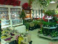 Castletroy Florists image 1