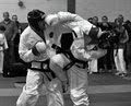 Charleville TaeKwon-Do Club image 1