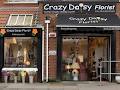 Crazy Daisy Florist image 2