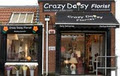 Crazy Daisy Florist image 1