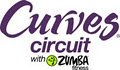 Curves Kimmage/Terenure logo