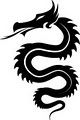 DRAGON NUTRITION logo