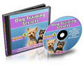 Dog Training image 2