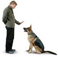 Dog Training logo