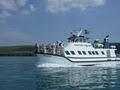 Doolin Ferry & Obrienline logo