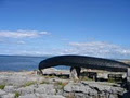 Doolin2Aran Ferries logo