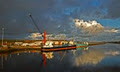 Drogheda Port Tom Roes Point Terminal image 3