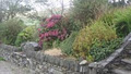 Failte Farmhouse B&B image 5