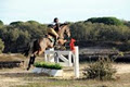 Fernhill Sport Horses logo