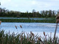 Gormanston & District Anglers logo