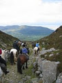 Killarney Riding Stables image 2