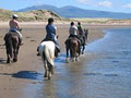 Killarney Riding Stables image 5