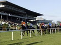 Leopardstown Racecourse image 1