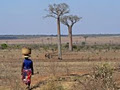 Mary Robinson Foundation - Climate Justice image 2