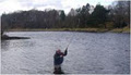 Moy Fly Fishing image 2