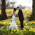 Roger Kenny Wedding and Family Portrait Photographer image 1