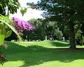 Shannon Golf Club image 5