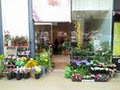 Southgate Florist , Drogheda image 2