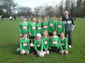 Terenure Football Club image 4