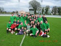 Terenure Football Club image 1