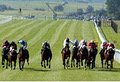 The Curragh Racecourse logo